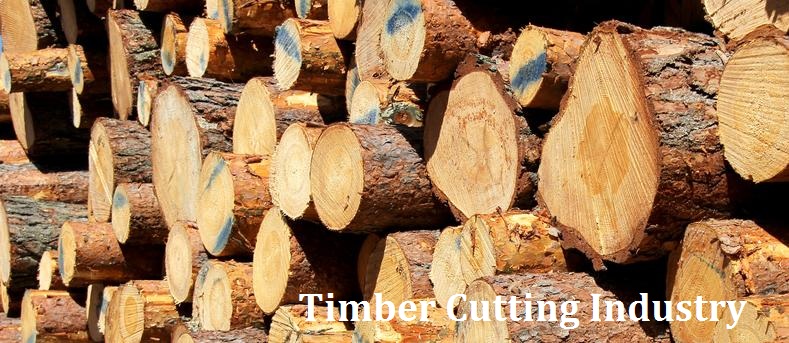 timber cutting industry